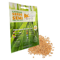 Thumbnail for Erba Piu Cat Grass seeds