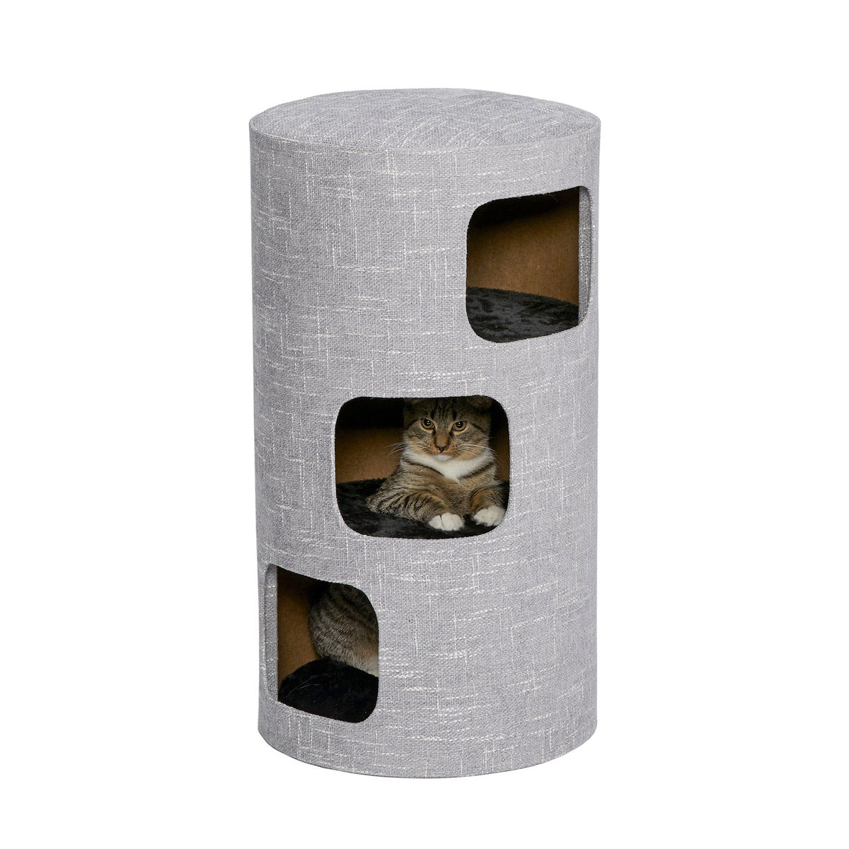 Feline Nuvo Nova for Cat