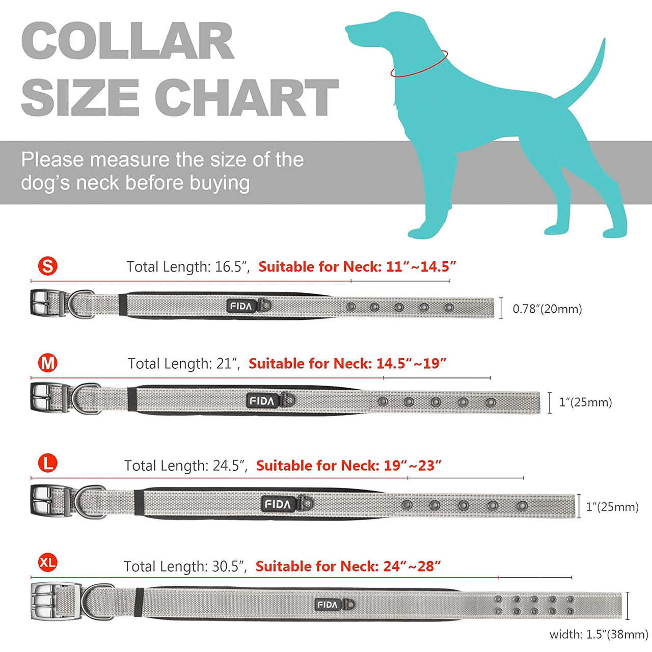 Fida Heavy Duty Dog Collar - Medium - blue