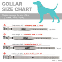 Fida Heavy Duty Dog Collar - Medium - blue
