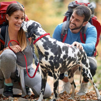 Thumbnail for Fida Durable Slip Lead Dog Leash / Training Leash(6ft length, 1/2″ thick Rope) - red