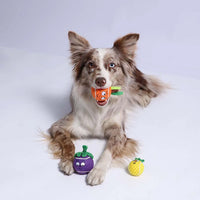GiGwi Tennis Ball Originals Dog Toy (Pineapple)