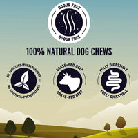 Thumbnail for Great Jack’s Odour-Free Bully Sticks  – 6 pcs