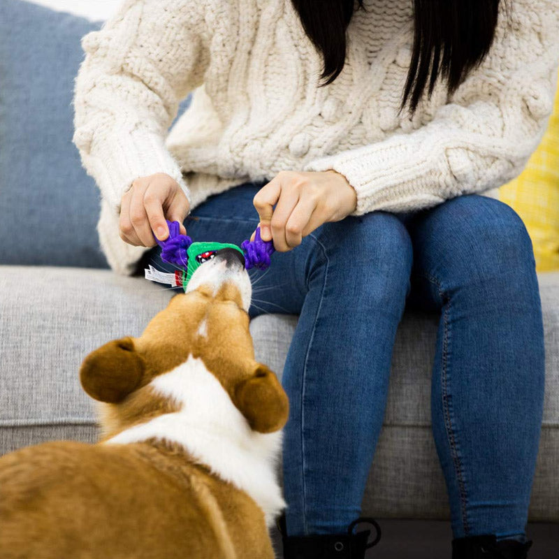 Green Monster Rope Squeaker Inside Small Plush/Rope