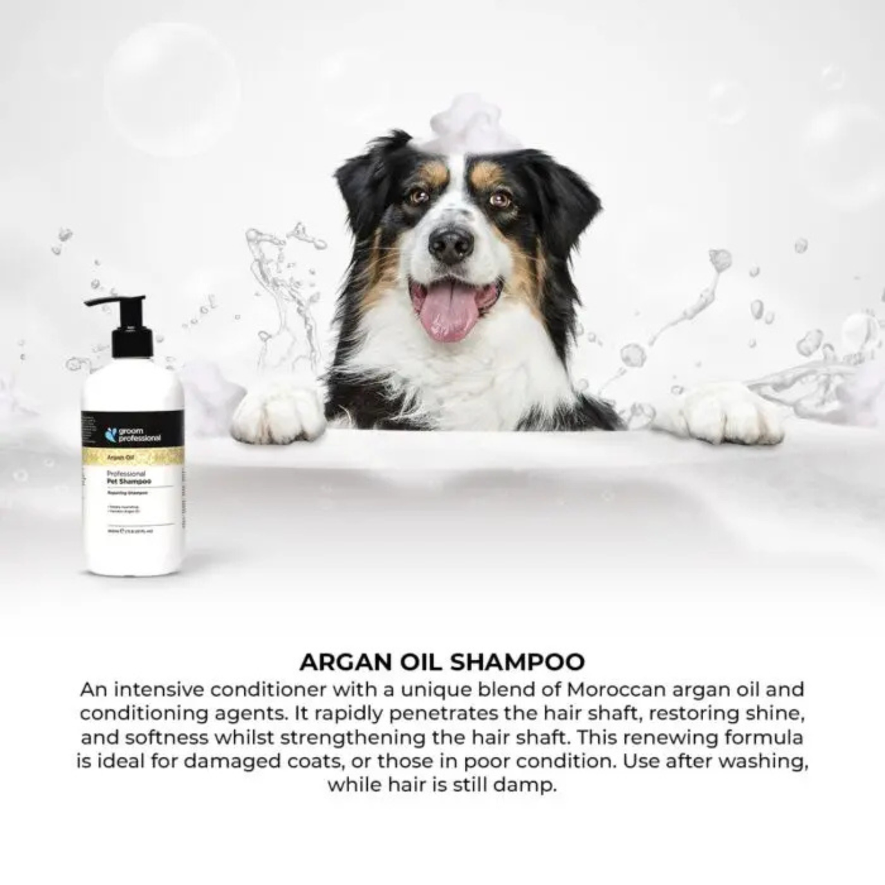 Groom Professional Argan Oil Pet Shampoo[Repairing]-4 litres