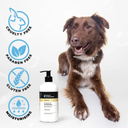 Groom Professional Argan Oil Pet Shampoo[Repairing]-4 litres