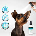 Groom Professional Baby Fresh Pet Cologne |Perfume|-4 litres