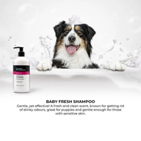 Groom Professional Baby Fresh Pet Shampoo [Baby Powder Fragrance]-4 litres