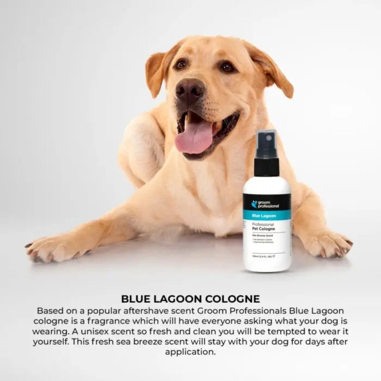 Groom Professional Blue Lagoon Cologne[Perfume]-Sweet Breeze Scent-200ml