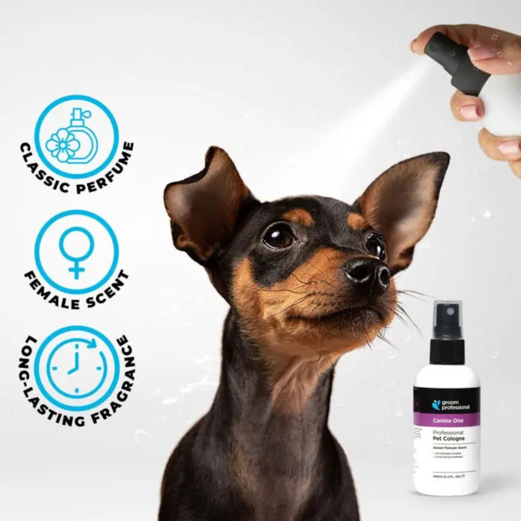 Groom Professional Canine One Cologne[Perfume]-Sweet Female Scent-200ml