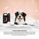 Groom Professional Citrus Shine Pet Shampoo [Volume - 4 litre, Flavor - Citrus scent]