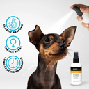 Groom Professional Diva Cologne |Perfume|-[Exotic Female Scent]-400 ml