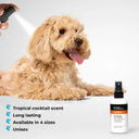 Groom Professional Fruit Punch Cologne (Perfume)-Tropical Cocktail Scent-100ml