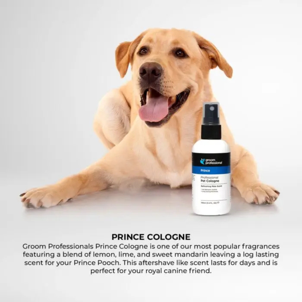 Groom Professional Prince Cologne [Perfume]-Refreshing Male Scent-100ml