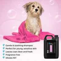 Groom Professional Tender Puppy Kitty Shampoo [Volume - 4 litre]