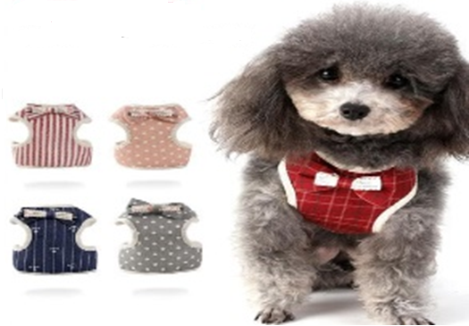 Pet Harness Leash