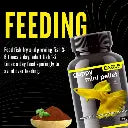 Horizone Eagle Guppy Mini Pallets 45g