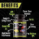 Horizone Eagle Micro Pallets 45g