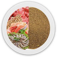 Horizone Royal Guppy Food - 22g