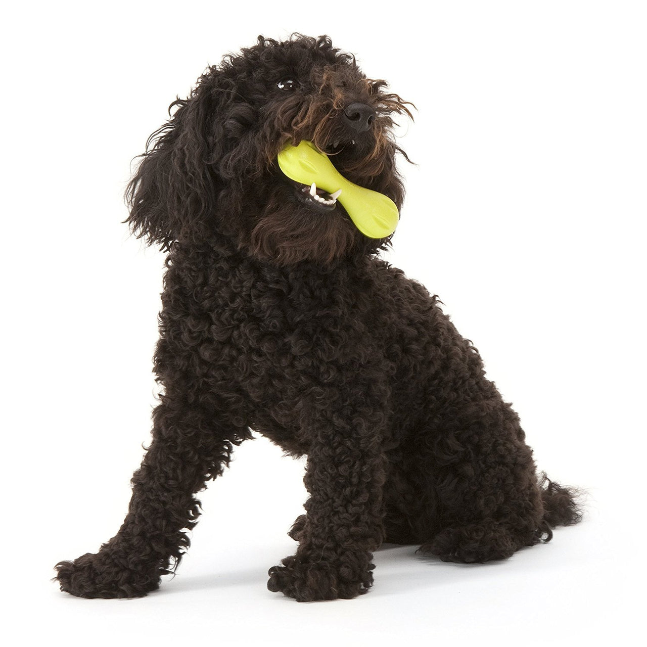 Westpaw Design Hurley Dog Bone - granny-smith - X Small