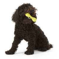Westpaw Design Hurley Dog Bone - aqua - Large