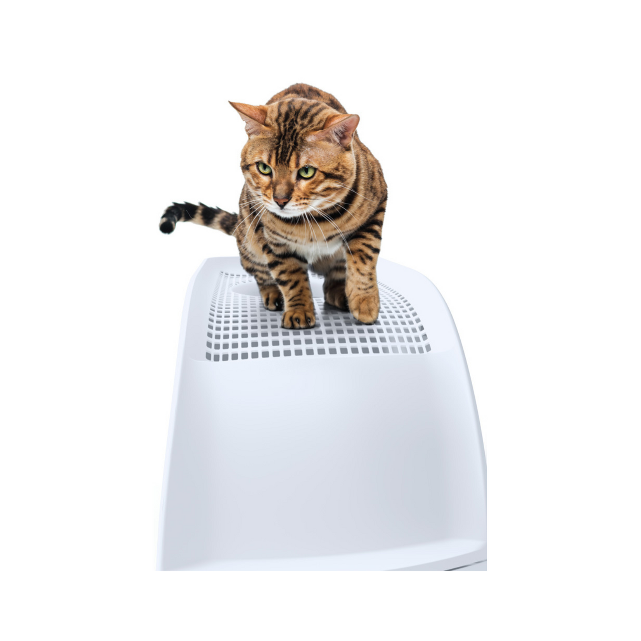 IMAC FRIDA Cat Toilets Green 40x56x43.5cm