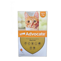 Advocate spot on for small cats up to 4kg