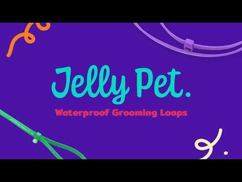 Jelly Pet Grooming Loop 3/8'' x24''[Color - Teal]