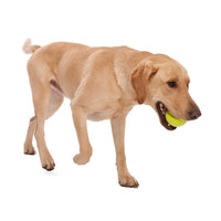 Westpaw Design Jive Dog Ball - granny-smith - X Small