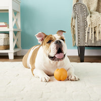 Westpaw Design Jive Dog Ball - granny-smith - Small