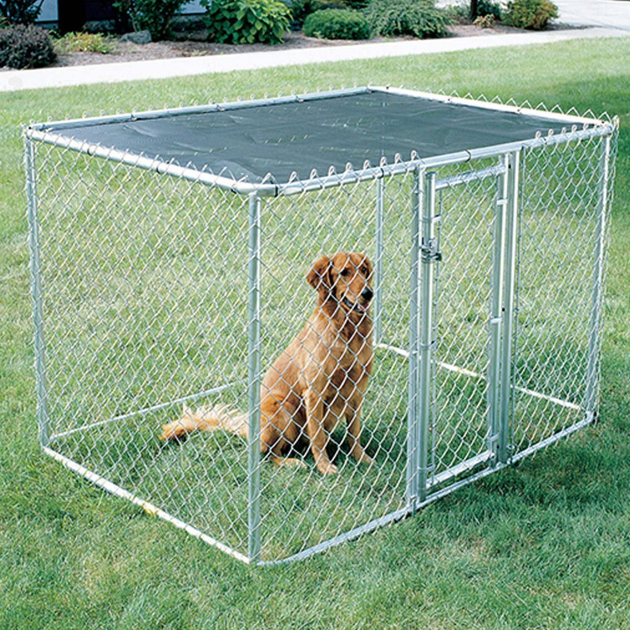 K9 Portable Kennel (6x4x4)