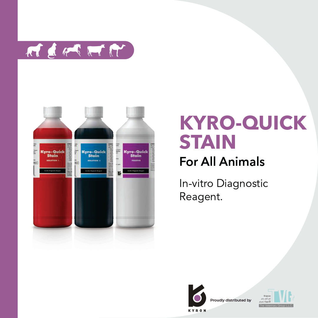 Kyro-Quick Stain