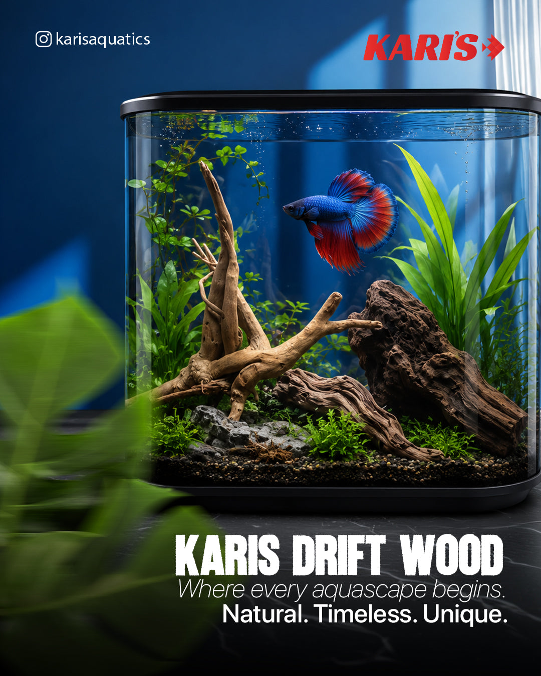 Karis Decorative Drift Wood-5kg