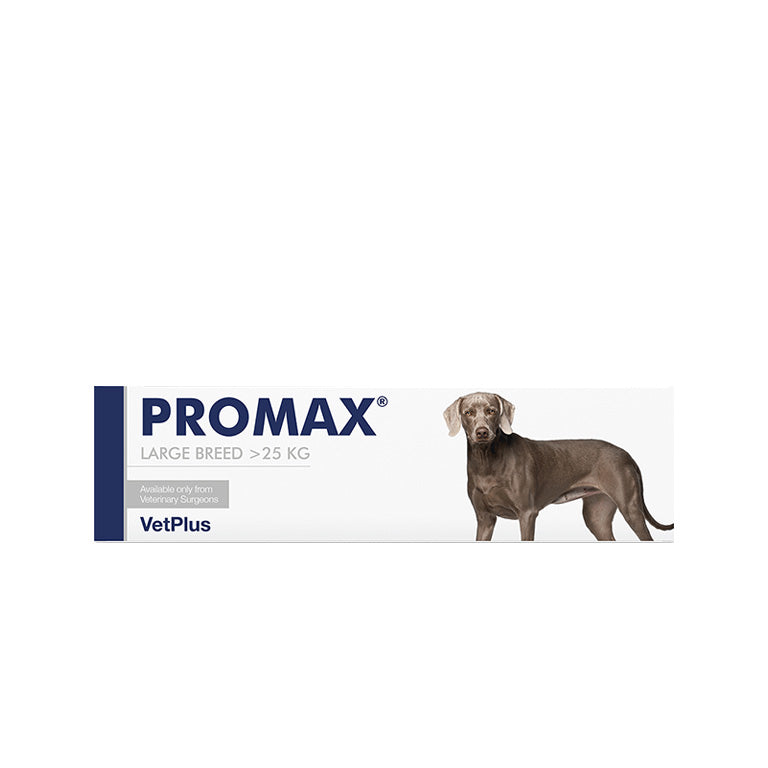 BUY 10 GET 1 FREE Promax Large Breed (30ml)