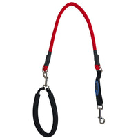 Thumbnail for Ez Step Stretch Leash Medium - blue