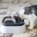 Pado Classic Square Anti Spill Pet Bowl 21x21x7.8cm[1000ml]-Grey