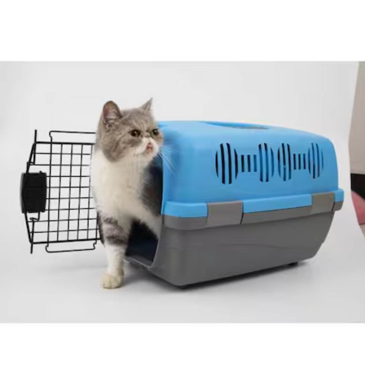 Pado Pet Carrier Large 60x35x33cm - Assorted Colors