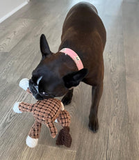 Pado Scooby Squeaky Toy 21x32x7cm