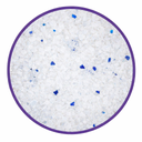 Pado Silica Crystal Cat Litter 30L - Unscented