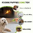 Pado Skittle Nylon and Wood TPR Dog Treat Toy 15.2x6.2x6.2 cm