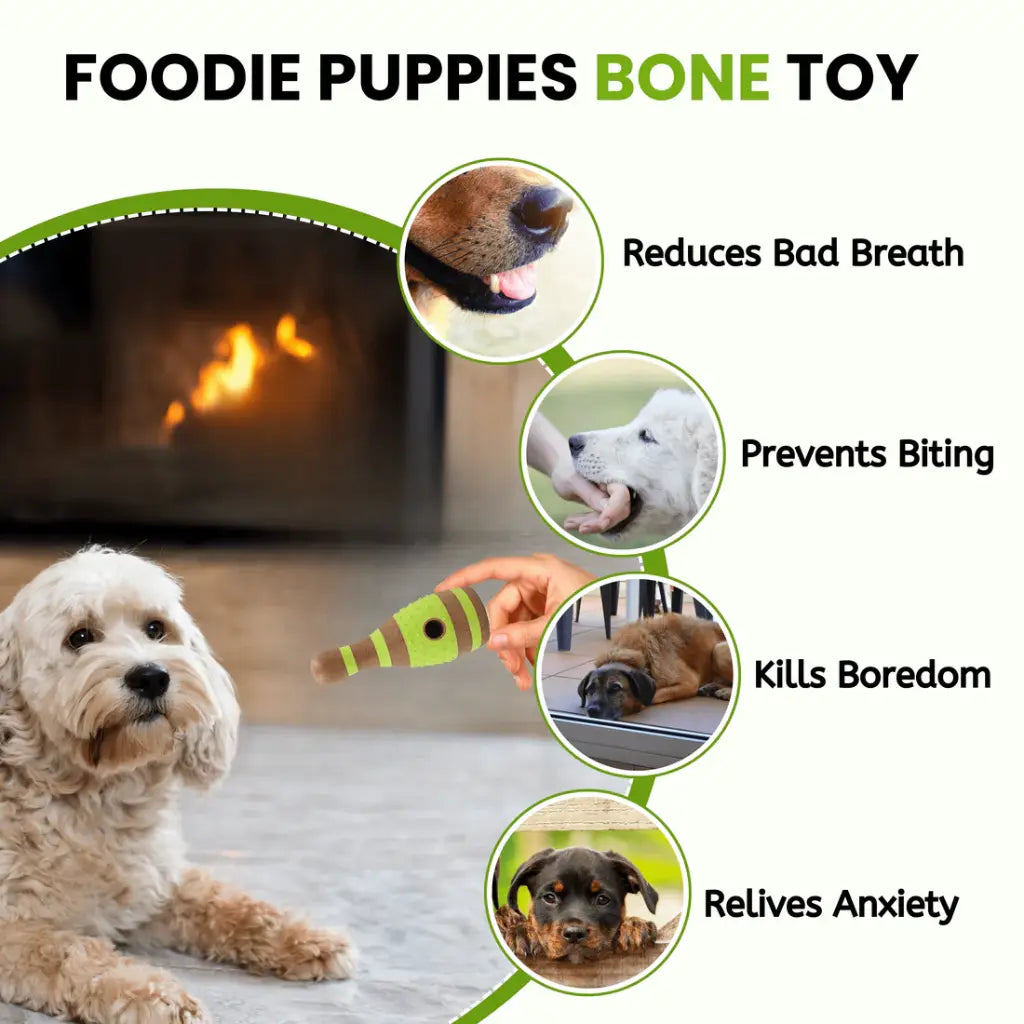 Pado Skittle Nylon and Wood TPR Dog Treat Toy 15.2x6.2x6.2 cm