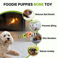 Pado Skittle Nylon and Wood TPR Dog Treat Toy 15.2x6.2x6.2 cm