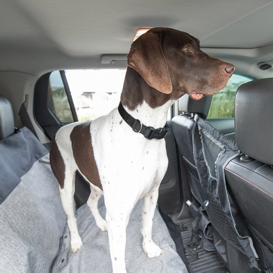 Pet Travel Barrier