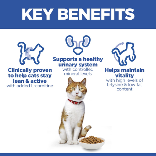Hill’s Science Plan Sterilised Cat  Adult Cat Food With Salmon (10kg)
