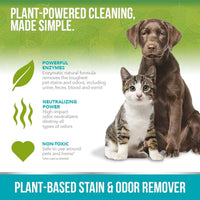 Thumbnail for Simple Solution Plant-Based Stain and Odor Remover