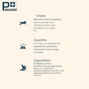 Pro Nutrition Prestige Dog Adult Medium 14Kg