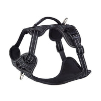 Rogz Explore Dog Harness - Blue MEDIUM