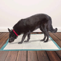 Thumbnail for Puppy Training Pads XL – 10