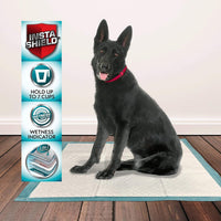 Thumbnail for Puppy Training Pads XL – 10