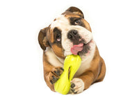 Qwizl Treat Toy - small - aqua